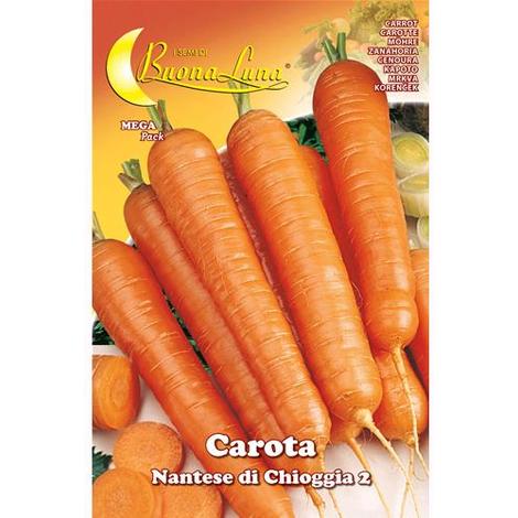 SEMENTI ORTO 1000 Semi  SELEZIONATI  DI carota  CHANTENAY . 