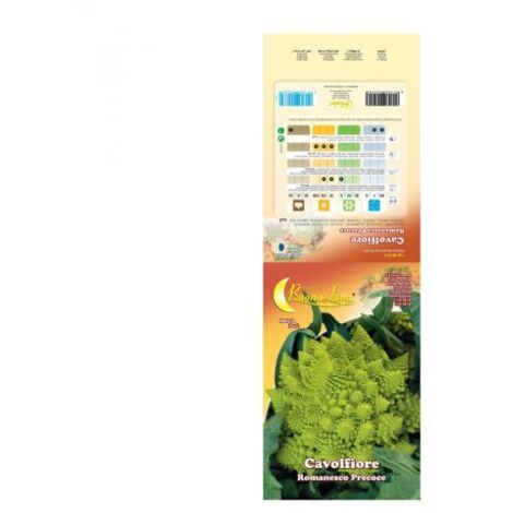 SEMI ORTO CAVOLFIORE ROMANESCO 10 PZ