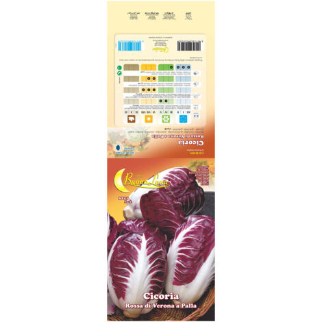 SEMI ORTO CICORIA ROSSA- 10,0 pz