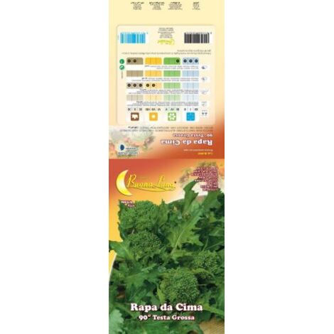SEMI ORTO CIMA DI RAPA NOVANTINA 10 PZ