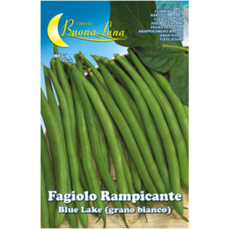 SEMI ORTO FAGIOLI RAMPICANTI BIANCHI- HORTUS SEMENTI- 5,0 pz