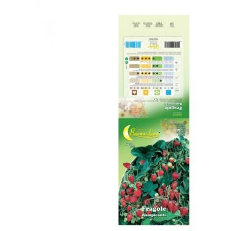 SEMI ORTO FRAGOLE RAMPICANTI 10 PZ