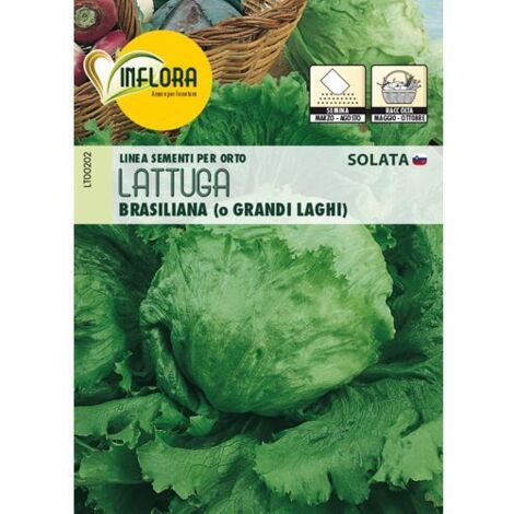 SEMI ORTO """LATTUGA BRASILIANA""" - CF. BUSTA 5 GR.