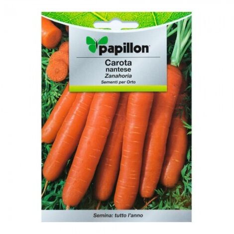 SEMI ORTO PAPILLON "CAROTA MANTESE" - CF. BUSTA 7 GR.