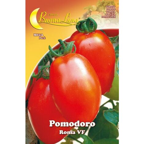 SEMI ORTO POMODORO ROMA 10 PZ