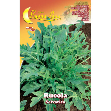 SEMI ORTO RUCOLA SELVATICA- HORTUS SEMENTI- 10,0 pz