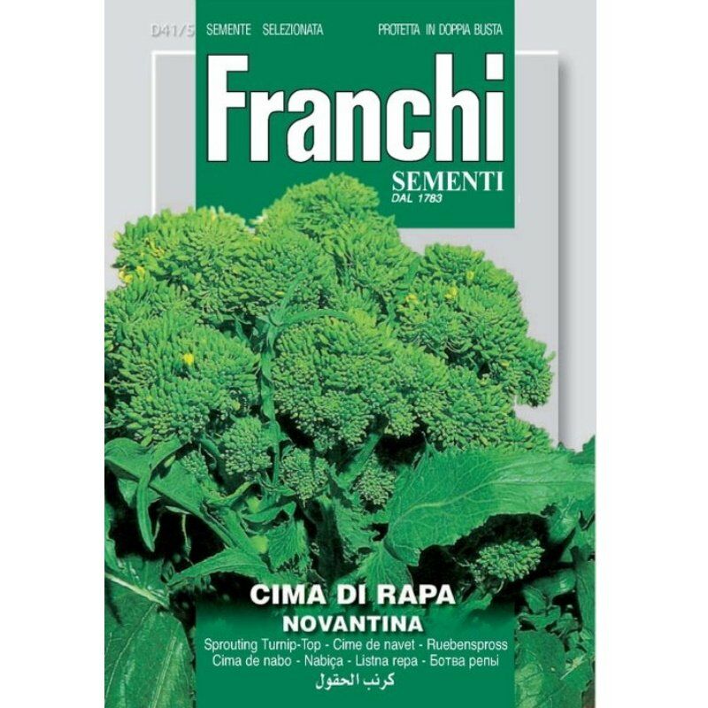 Una immagine