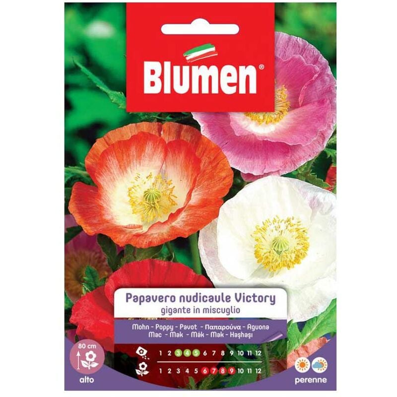Graines de pavot nudique victory giant in Blumen mix