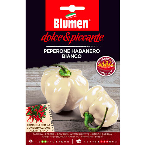 SEMI PEPERONE HABANERO BIANCO
