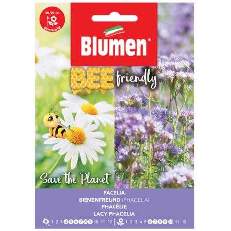 SEMI PHACELIA TANACETIF. BLUMEN