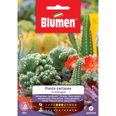 Semi di piante cactacee mix per giardinaggio – Miscuglio di piante ornamentali perenni – Periodo di semina: primavera – Blumen