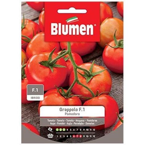 SEMI POMODORINO A GRAPPOLO ROBIN BLUMEN ORTO GIARDINO SEMENTI