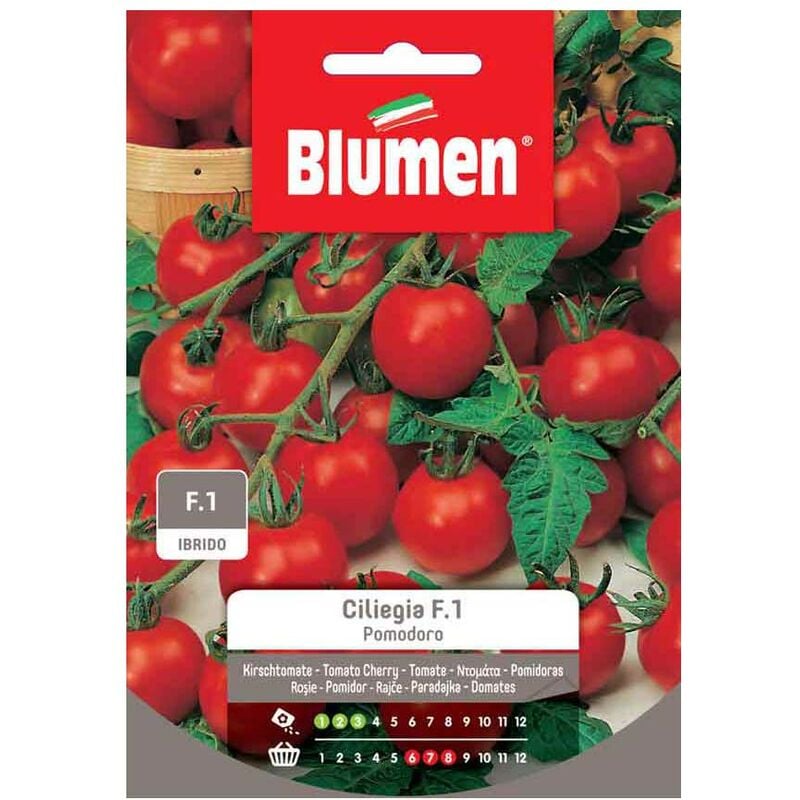 Blumen - graines de tomate cerise hybrid F1