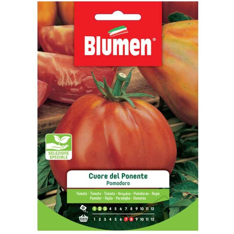 Blumen - graines de tomate cœur de ponente