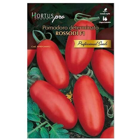 Semi pomodoro rossodi f1