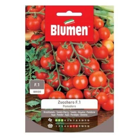 SEMI POMODORO ZUCCHERO F1 BLUMEN SEMENTI ORTO