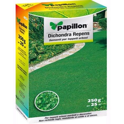 SEMI PRATO "DICHONDRA REPENS" PAPILLON - 250gr - ideale per aiuole