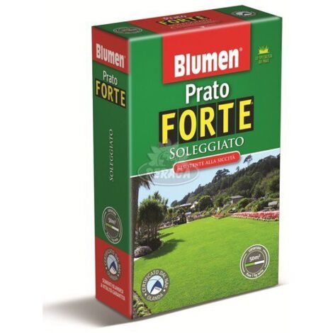 Semi  prato forte soleggiato 1 Kg 45010