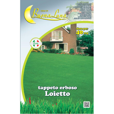 SEMI PRATO LOIETTO 1 KG- HORTUS SEMENTI- 1,0 pz
