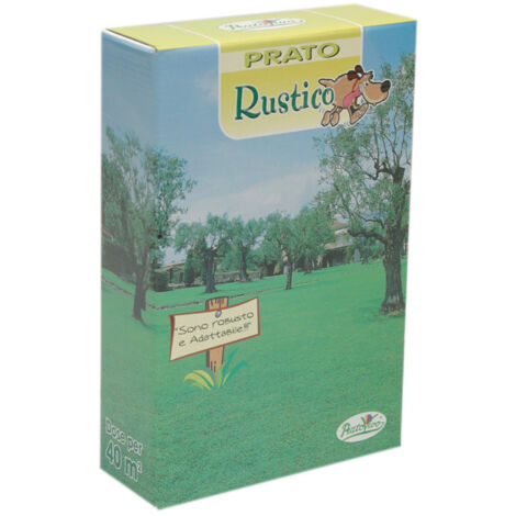SEMI PRATO RUSTICO 1 KG- HORTUS SEMENTI- 1,0 pz