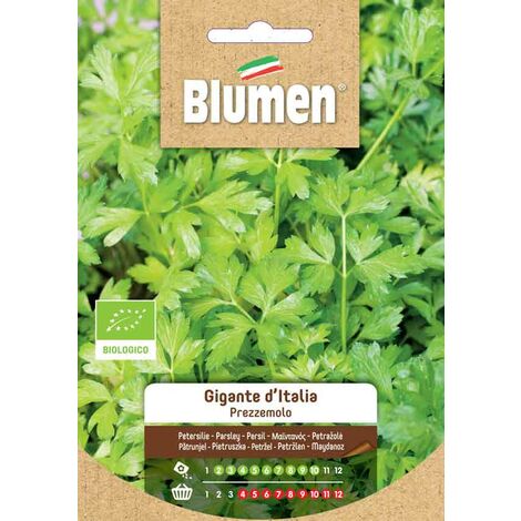 SEMI RUCOLA SELVATICA MAXI ORTO BLUMEN