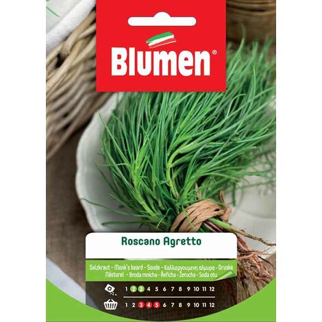 SEMI ROSCANO AGRETTO BLUMEN SEMENTI ORTO