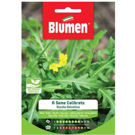 SEMI RUCOLA SELVATICA MAXI ORTO BLUMEN