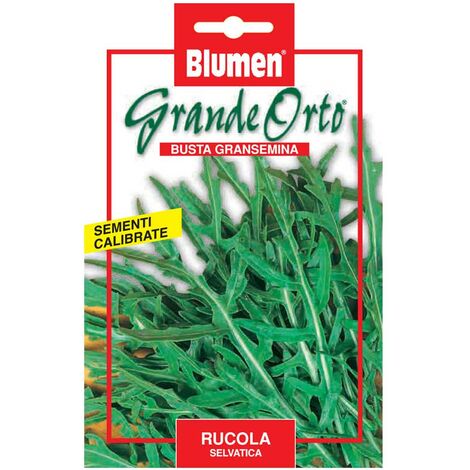 Semi di Rucola Selvatica buste sigillate semi di Piante Aromatiche