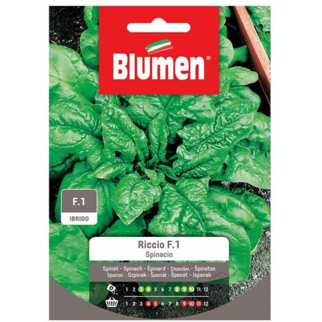 SEMI SEMI SPINACIO RICCIO F1 BLUMEN SEMENTI ORTO