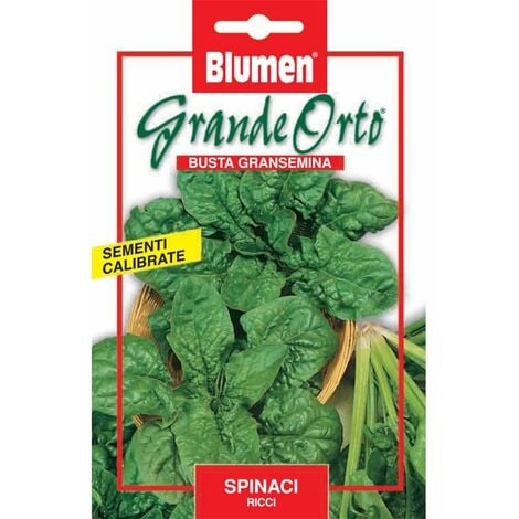 SEMI SPINACIO RICCIO BLUMEN SEMENTI ORTO