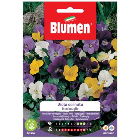 Blumen. Semi di Viola cornuta