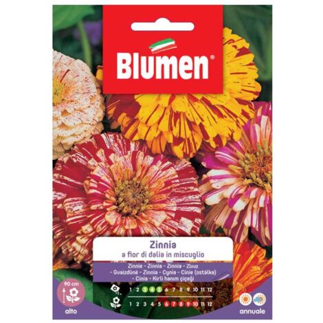 SEMI ZINNIA A FIOR DI DALIA IN MISCUGLIO BLUMEN