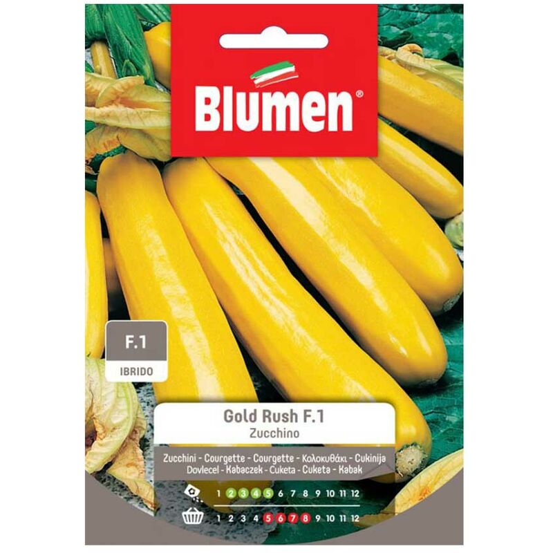 Blumen - graines sugar gold rush F1 hybrid