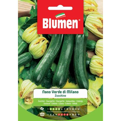 SEMI ZUCCHINO NANO VERDE DI MILANO