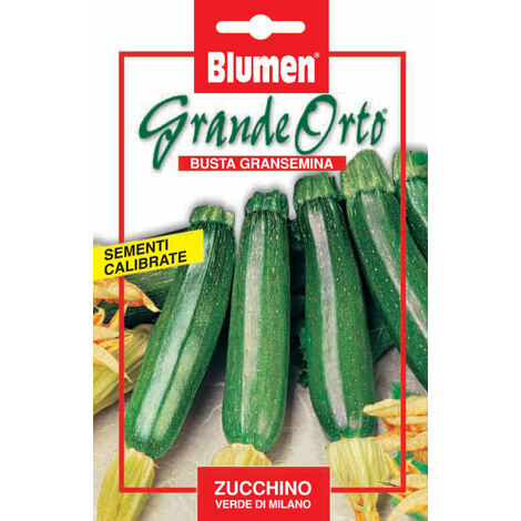 SEMI ZUCCHINO VERDE DI MILANO BLUMEN