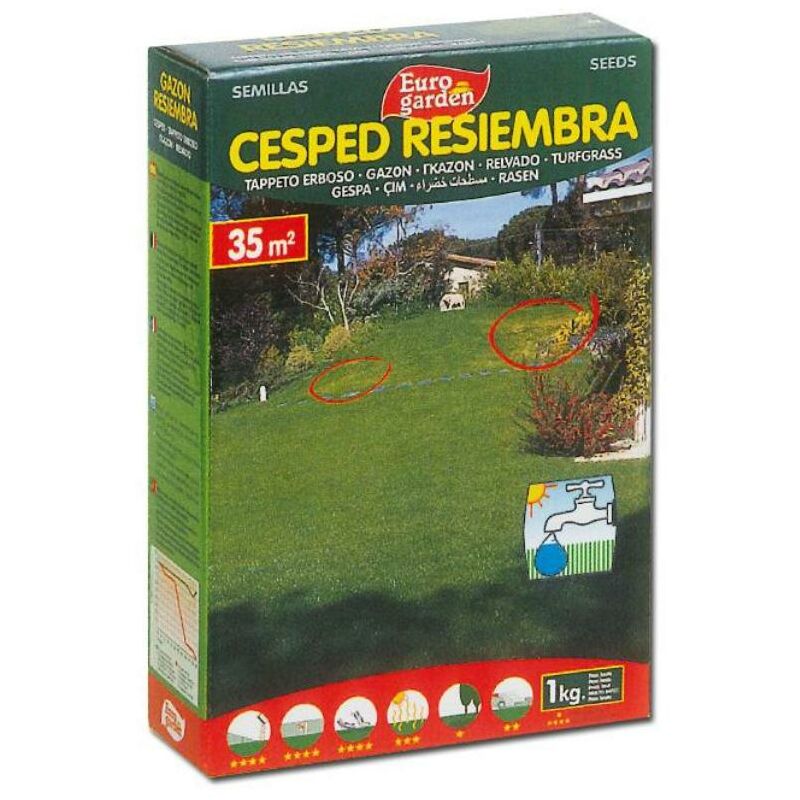 

semillas fito cesped resiembra eurogarden 1kg 04457 - Mibricotienda