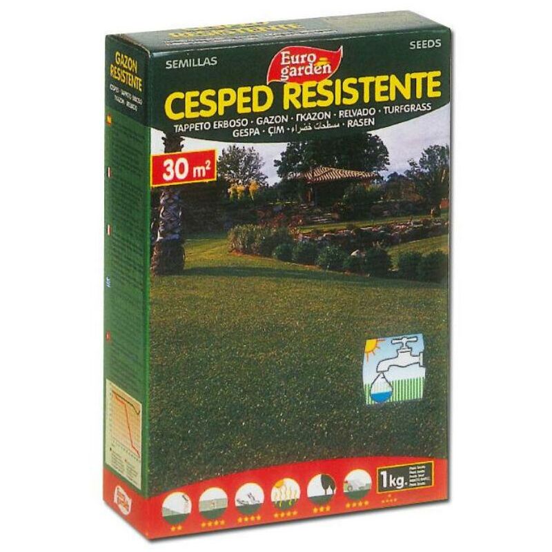 

semillas fito cesped resistente eurogarden 1kg 04455 - Mibricotienda