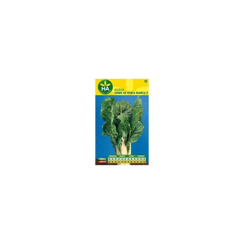 

Semillas Acelga Verde Penca Blanca