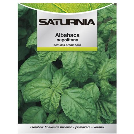 semillas aromáticas albahaca gigante (5 gramos) horticultura, horticola, semillas huerto.