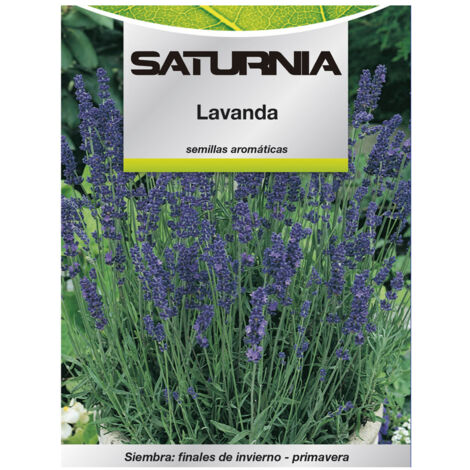 Semillas Aromaticas Lavanda (0.5 gramos)