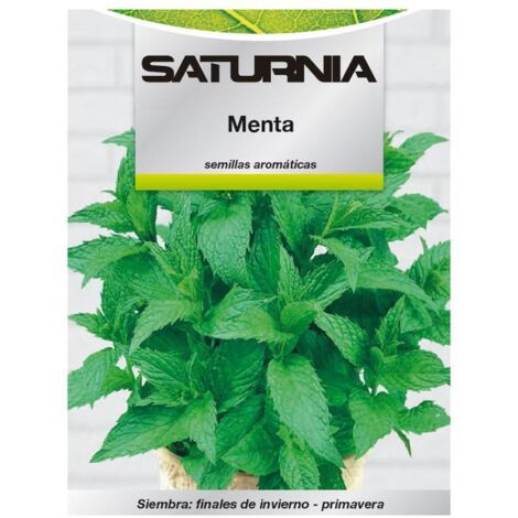Semillas Aromaticas Menta (0.3 gramos) Horticultura, Horticola, Semillas Huerto.