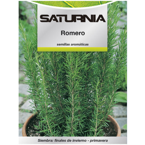 Semillas Aromaticas Romero (0.1 gramos)