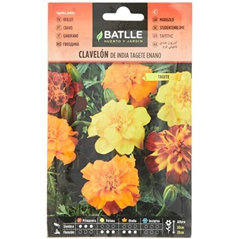 Semillas Batlle Clavelon di India Tage Nano