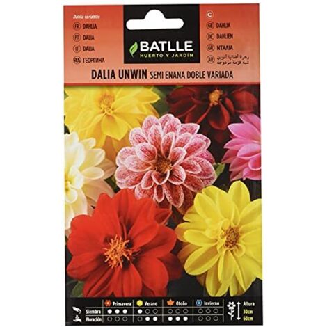 Semillas Batlle Dalia Unwin Semi Nano Doppia vda