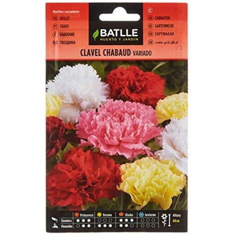 Semillas Batlle Garofano Chabaud VARIATO
