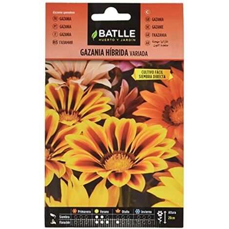 Semillas Batlle Gazania Ibrida Varie