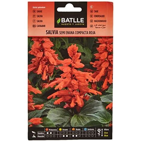 Semillas Batlle Salvia Semi Nano compac Rosso