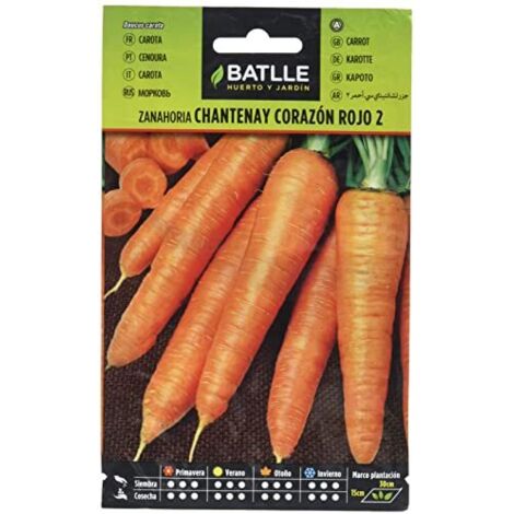 Semillas Batlle  Semi di carota