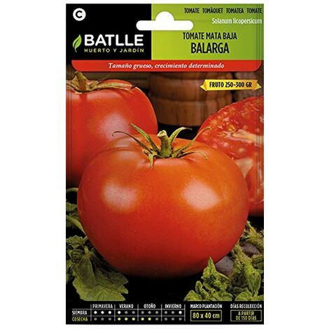 Semillas Batlle – Semi di Pomodoro