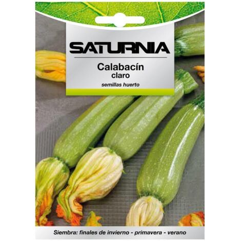 Semillas Calabacin Claro (5 gramos) Semillas Verduras, Horticultura, Horticola, Semillas Huerto.